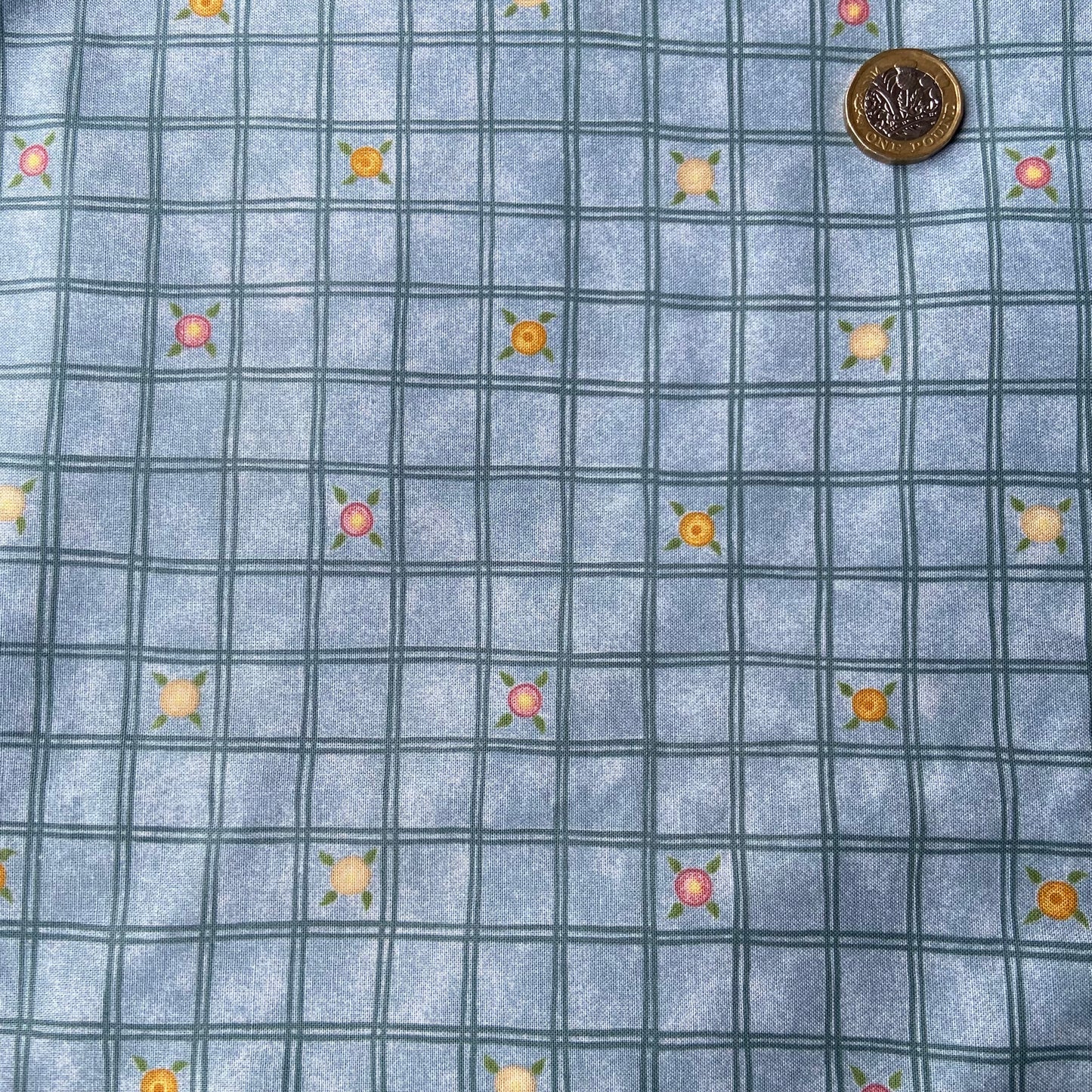 Blue Floral Checks