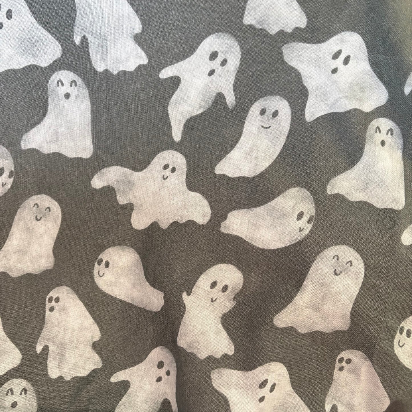 Grey Ghost
