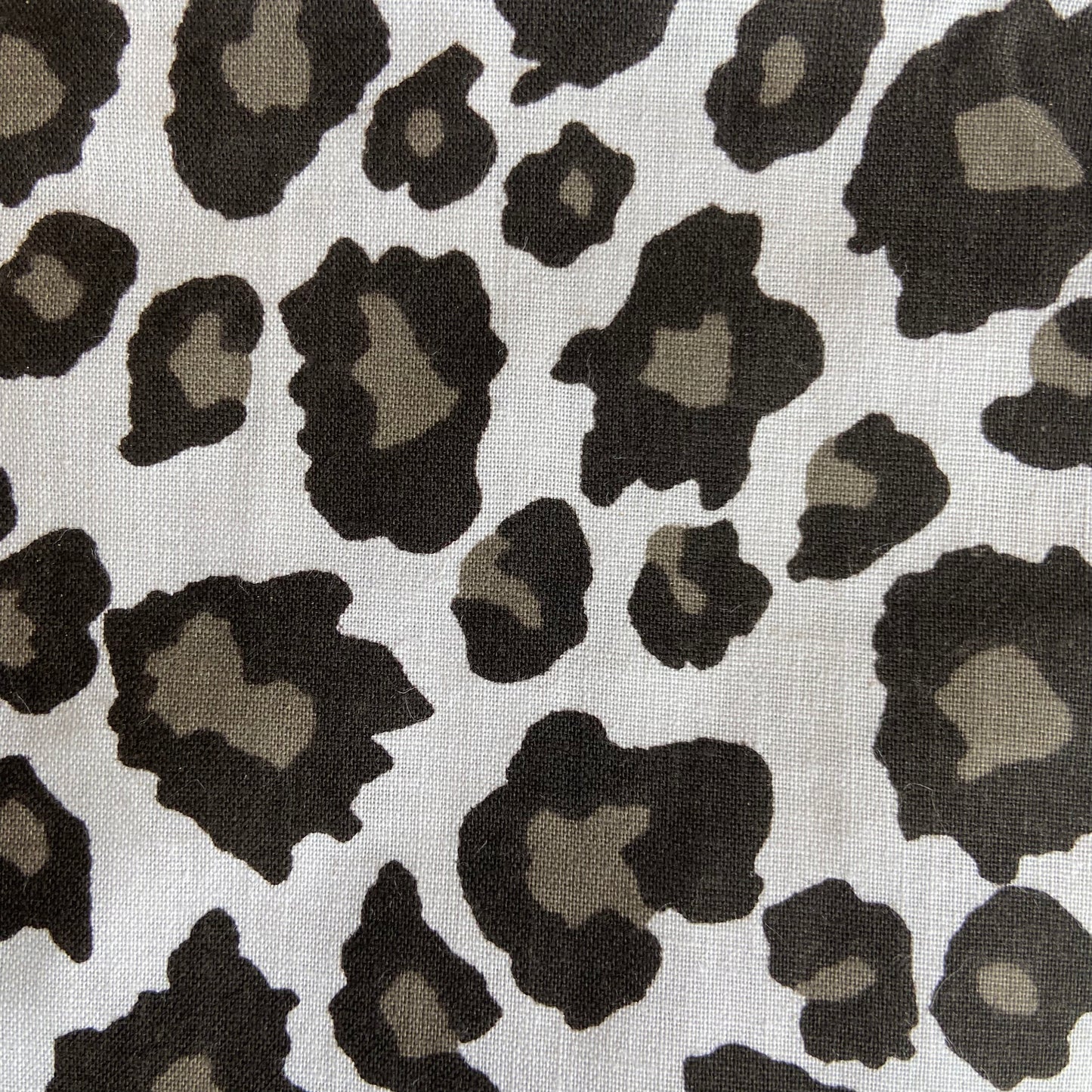 Leopard - grey